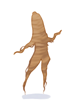 Icon of Ginseng