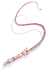 Icon of Whip of The Queen