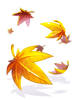 Icon of (c) Falling Maple Leafs