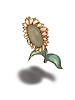Icon of (c) Sunflower