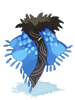 Icon of Water Dragon Manteau