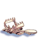 Icon of Capture Trap