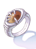 Icon of Brown Kvasir's Ring