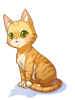 Icon of (c) Orange Tabby Cat