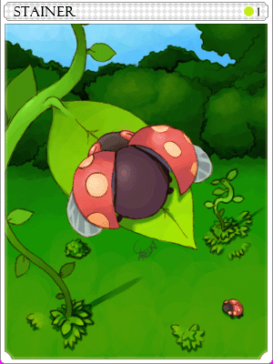 Icon of Stainer Card