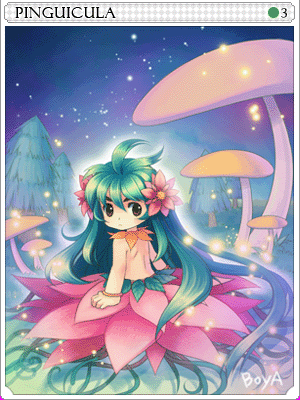 Icon of Pinguicula Card