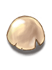 Icon of Egg Shell