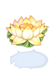 Icon of Water Lily Hat