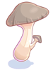 Icon of Edible Mushroom