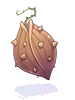 Icon of Thorn Plant Seed