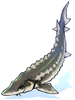 Icon of Sturgeon