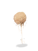 Icon of Sand Clump