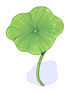Icon of Lotus Leaf