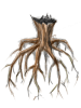 Icon of Tree Root